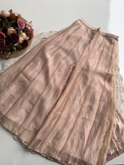 PEACH BLUSH ✨